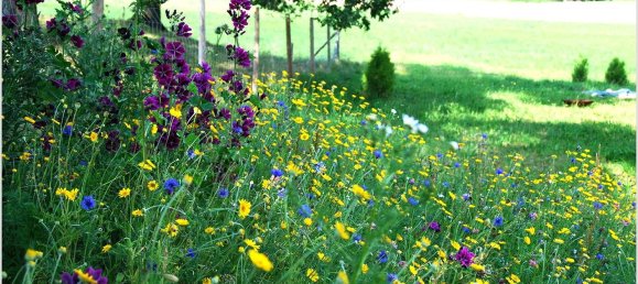 4 chambres Maison de ville à Konstanz, Germany No. 226483 5