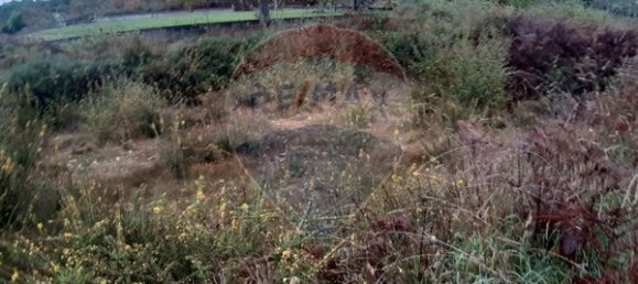 Grundstück in Viseu, Portugal 1594m², Nr. 51638 3