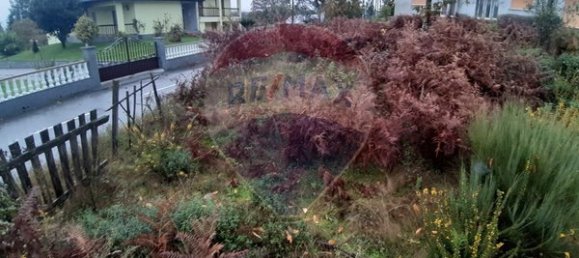 Grundstück in Viseu, Portugal 1594m², Nr. 51638 7