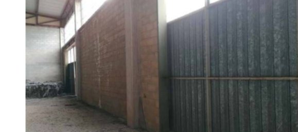 Entrepôt à San Severo, Italy 965m² No. 379110 8