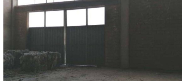 Entrepôt à San Severo, Italy 965m² No. 379110 7