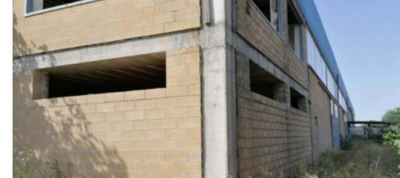 Entrepôt à San Severo, Italy 965m² No. 379110 3