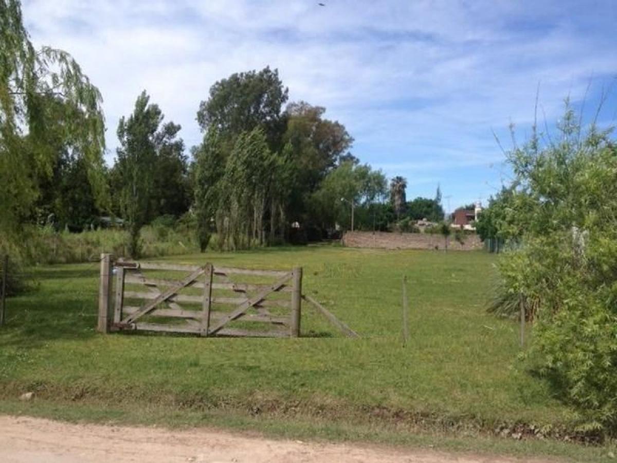  Land in Campo Creado, Argentina No. 44221