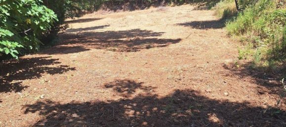 4-salle Villa à Vibo Valentia, Italy No. 267953 4