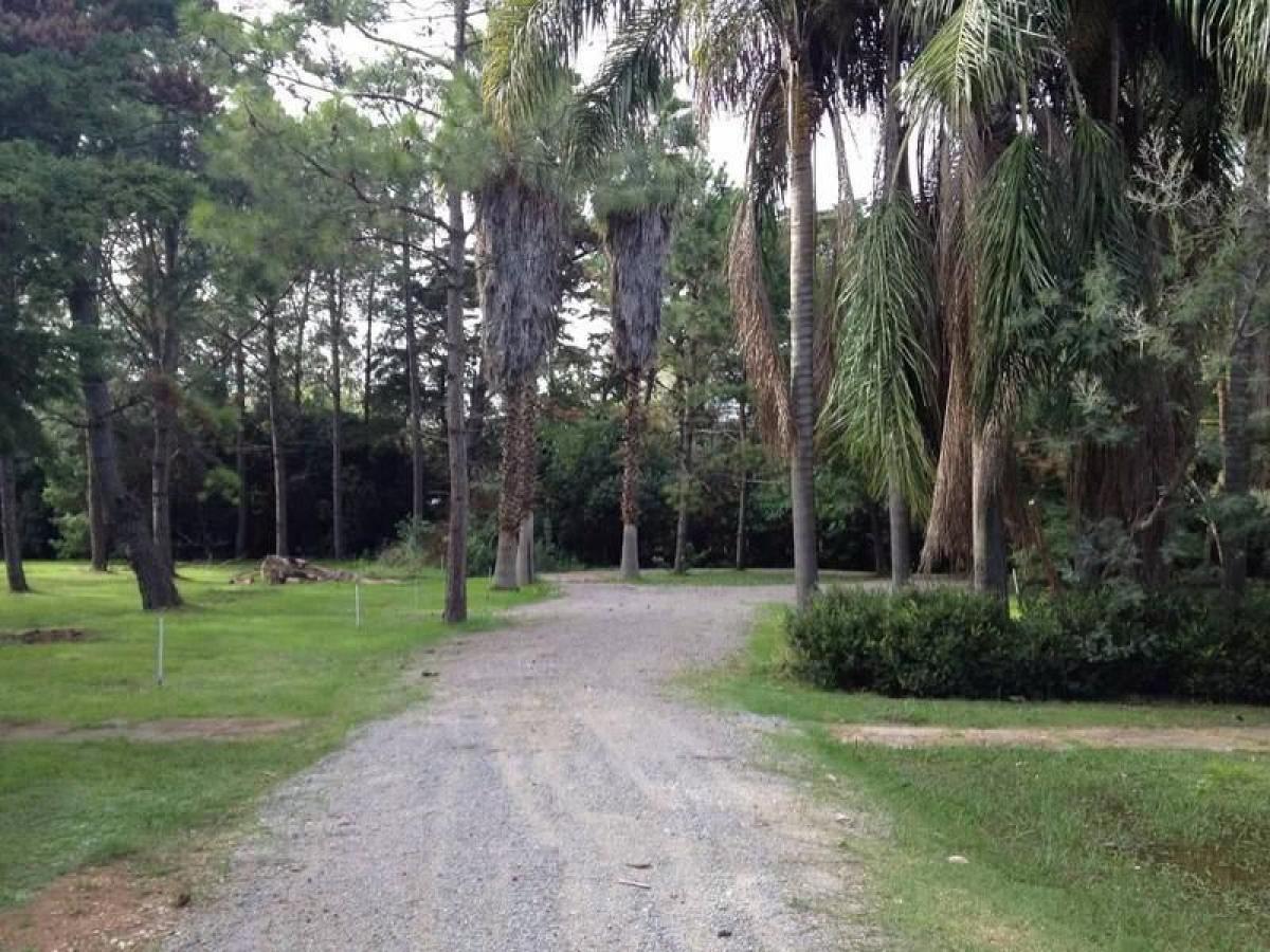  Land in San Vicente, Argentina No. 35223