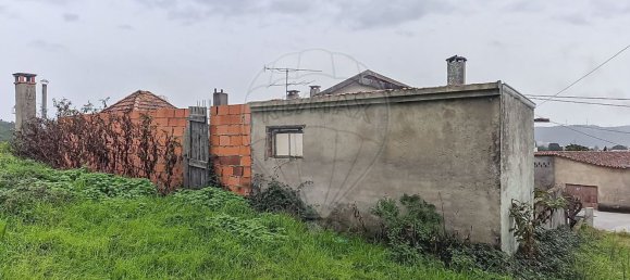 3 bedrooms House in Mortagua, Portugal No. 173821 3