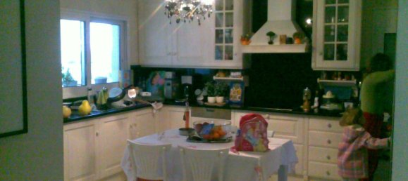 450m² Villa in Euboea, Greece No. 3391 22