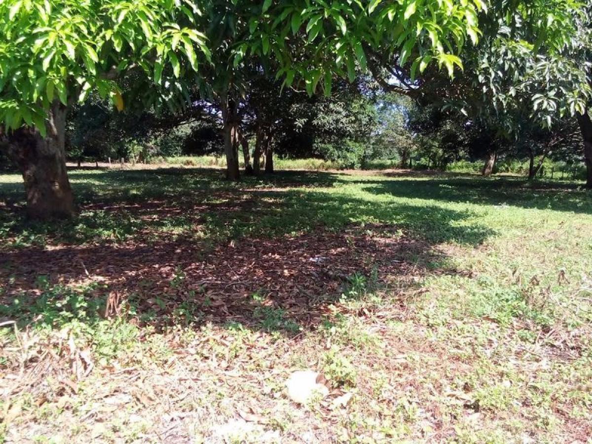 Terrain à Veracruz, Mexico No. 205024