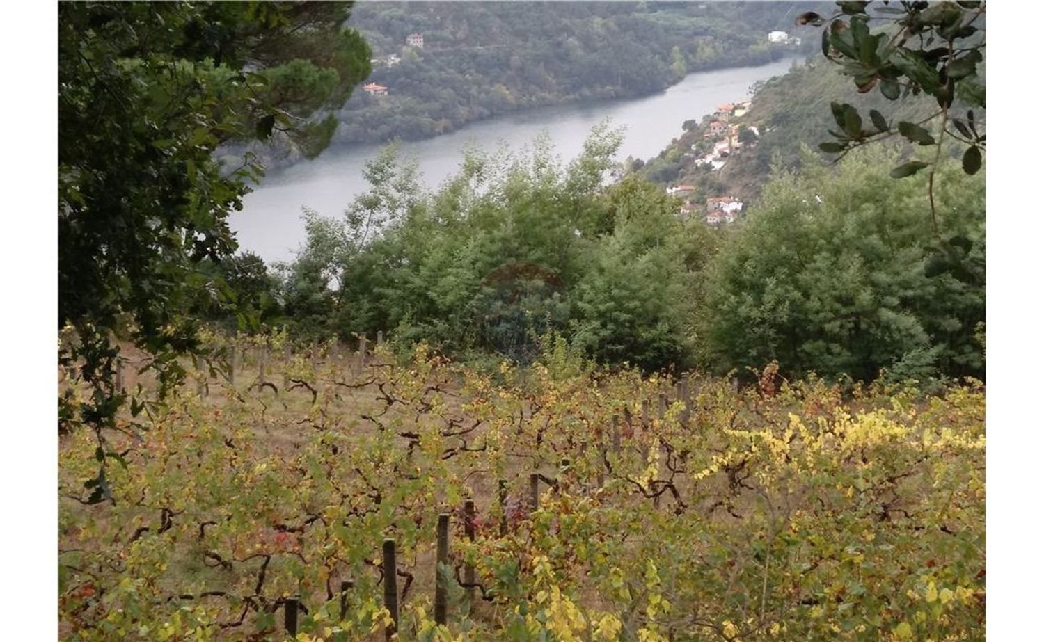 3600m² Land in Baiao, Portugal No. 62129