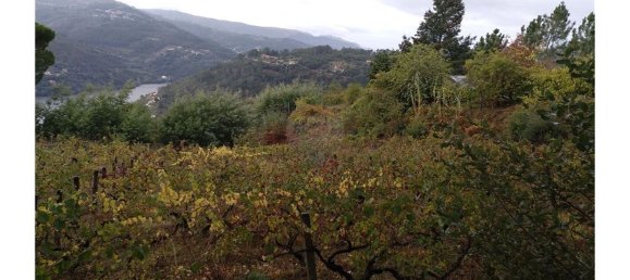 3600m² Land in Baiao, Portugal No. 62129 12