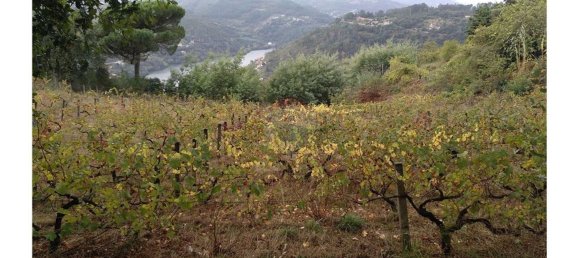 3600m² Land in Baiao, Portugal No. 62129 18