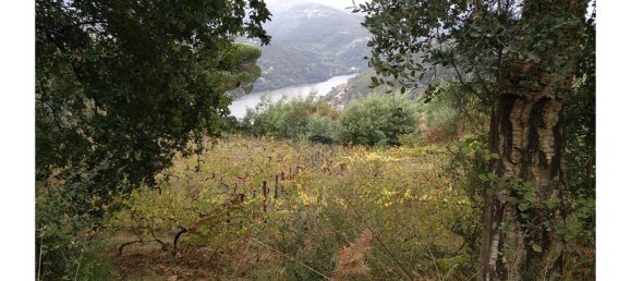 3600m² Land in Baiao, Portugal No. 62129 19