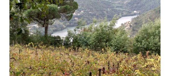 3600m² Land in Baiao, Portugal No. 62129 14