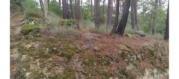 3600m² Land in Baiao, Portugal No. 62129 4