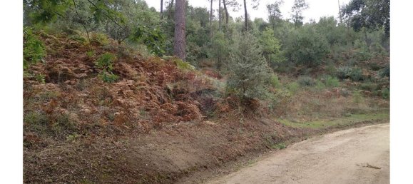 3600m² Land in Baiao, Portugal No. 62129 8