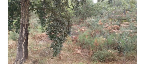 3600m² Land in Baiao, Portugal No. 62129 10