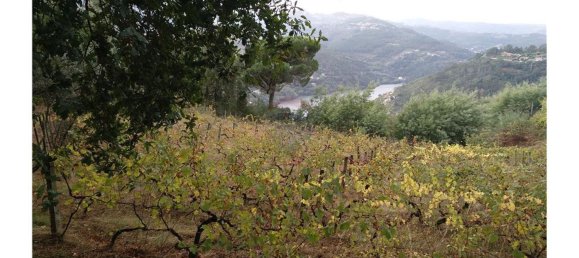 3600m² Land in Baiao, Portugal No. 62129 13