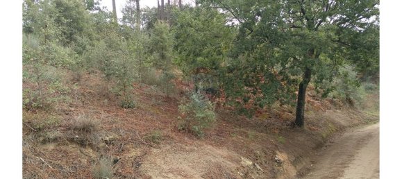 3600m² Land in Baiao, Portugal No. 62129 6