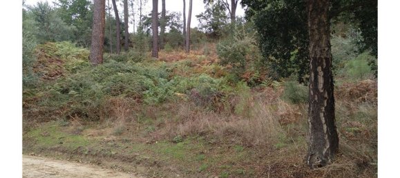 3600m² Land in Baiao, Portugal No. 62129 9