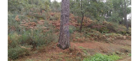 3600m² Land in Baiao, Portugal No. 62129 11