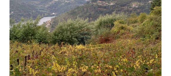 3600m² Land in Baiao, Portugal No. 62129 16