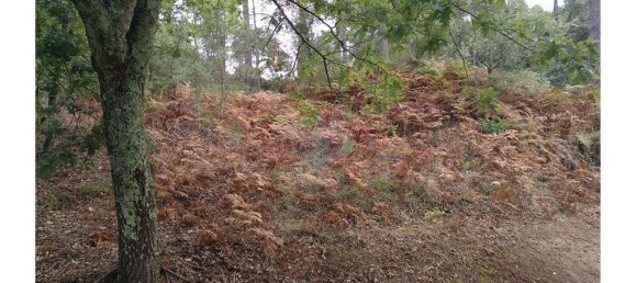 3600m² Land in Baiao, Portugal No. 62129 7