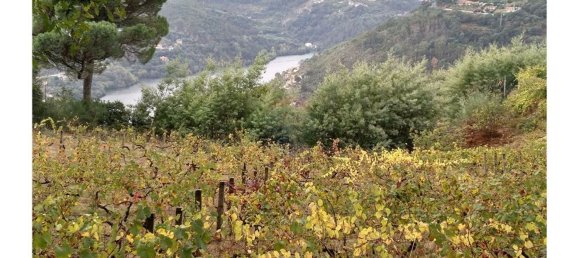 3600m² Land in Baiao, Portugal No. 62129 17