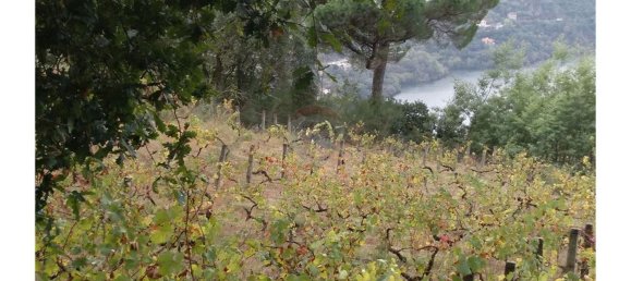 3600m² Land in Baiao, Portugal No. 62129 15