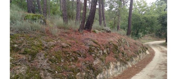 3600m² Land in Baiao, Portugal No. 62129 5