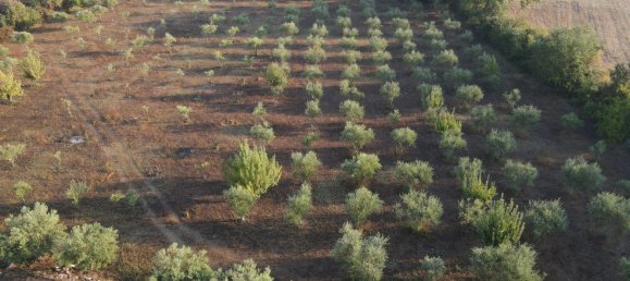 22 rooms House in Noto, Italy No. 45992 29