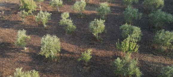 22 rooms House in Noto, Italy No. 45992 41