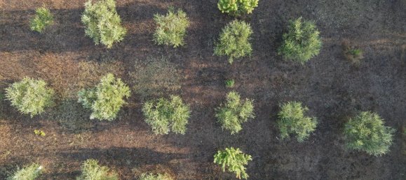 22 rooms House in Noto, Italy No. 45992 43