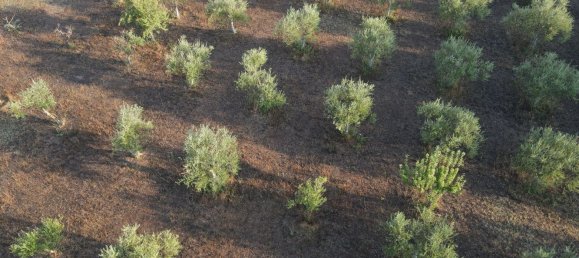 22 rooms House in Noto, Italy No. 45992 42