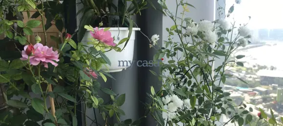 3 bedrooms Apartment in Thu Duc, Vietnam No. 8149 3