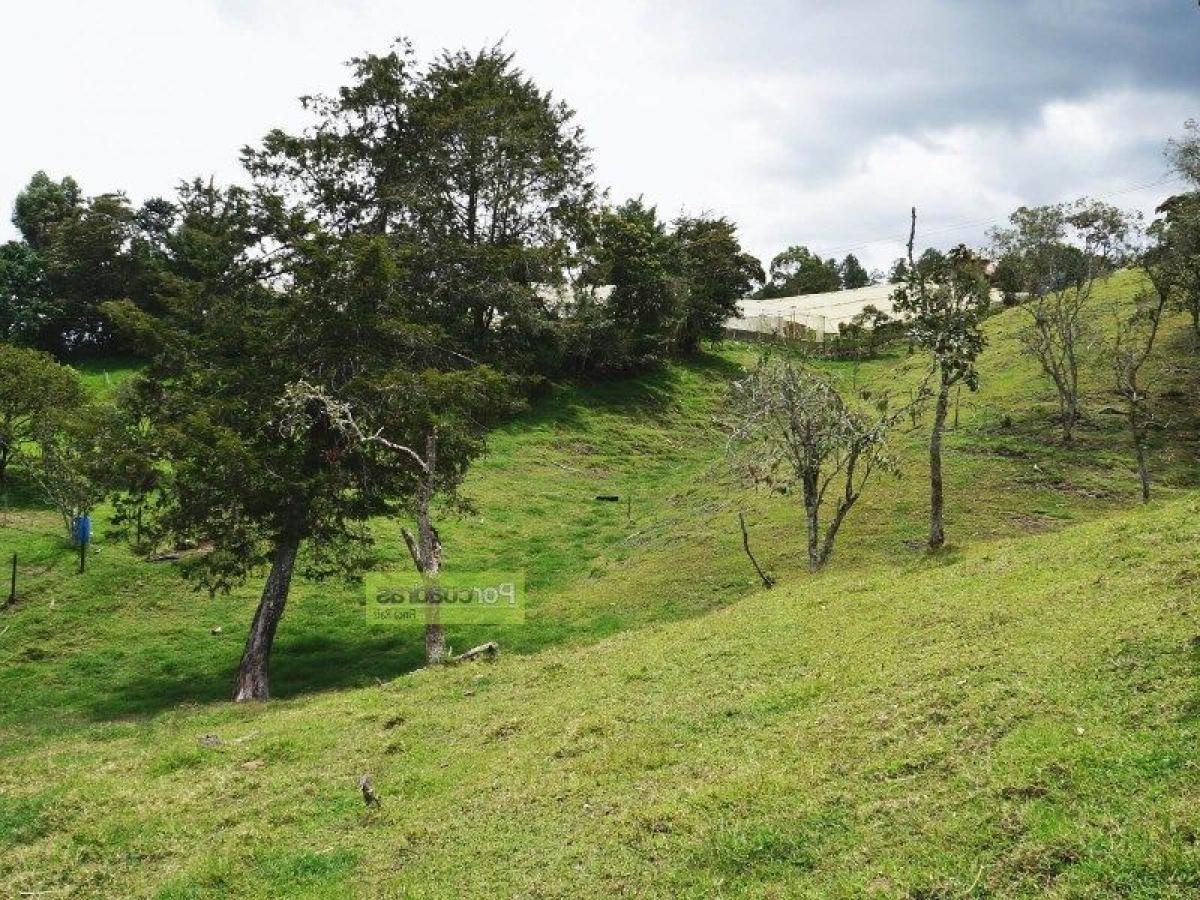  قطعة أرض في Antioquia, Colombia رقم 324