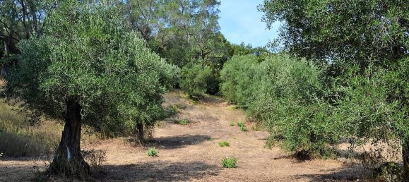  فندق في Corfu, Greece 30000متر مربع رقم 4593 13