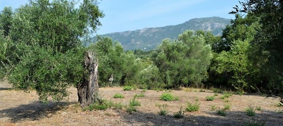  فندق في Corfu, Greece 30000متر مربع رقم 4593 12