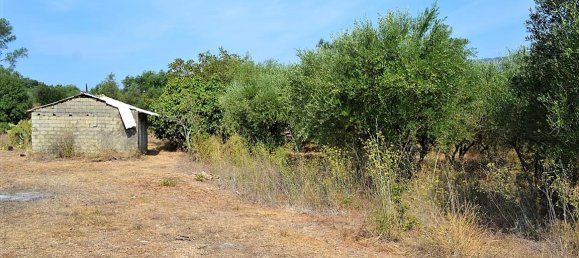  فندق في Corfu, Greece 30000متر مربع رقم 4593 7