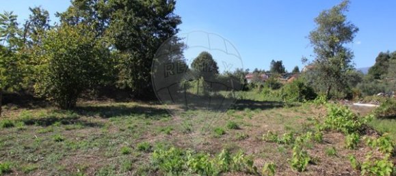 1400m² Land in Oliveira de Frades, Portugal No. 65522 6