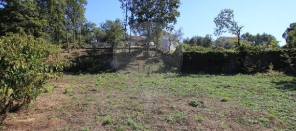 1400m² Land in Oliveira de Frades, Portugal No. 65522 13