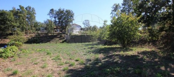 1400m² Land in Oliveira de Frades, Portugal No. 65522 12