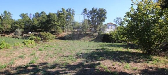 1400m² Land in Oliveira de Frades, Portugal No. 65522 9