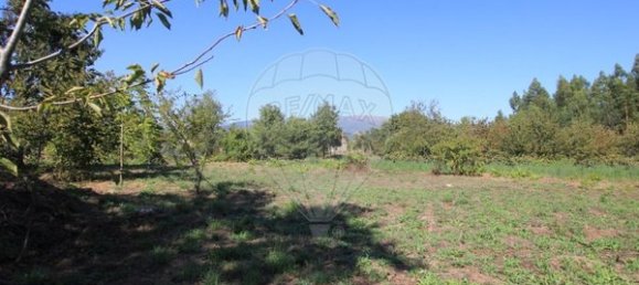 1400m² Land in Oliveira de Frades, Portugal No. 65522 3