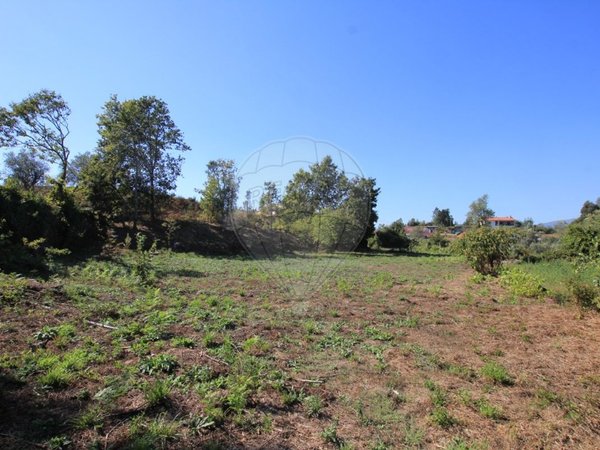 1400m² Land in Oliveira de Frades, Portugal No. 65522