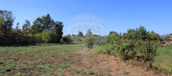 1400m² Land in Oliveira de Frades, Portugal No. 65522 2