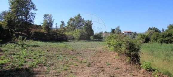 1400m² Land in Oliveira de Frades, Portugal No. 65522 8