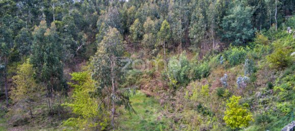 Terreno em Póvoa de Lanhoso, Portugal N.º 38053 5