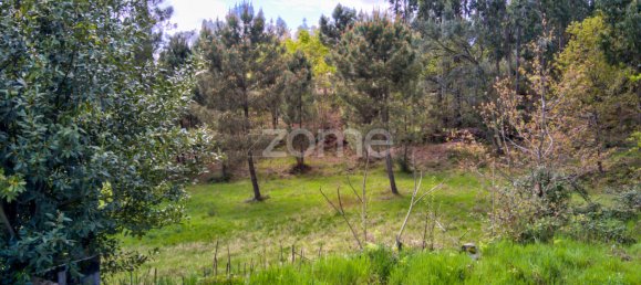 Terreno em Póvoa de Lanhoso, Portugal N.º 38053 4