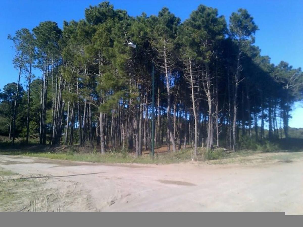  Land in Mar del Plata, Argentina No. 121117