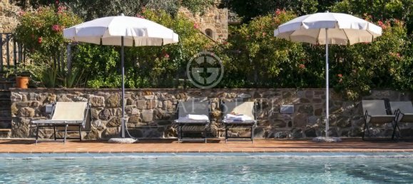 12 bedrooms Castles in Seggiano, Italy No. 57100 3